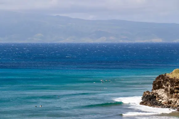 Casombie Kasino Podpora